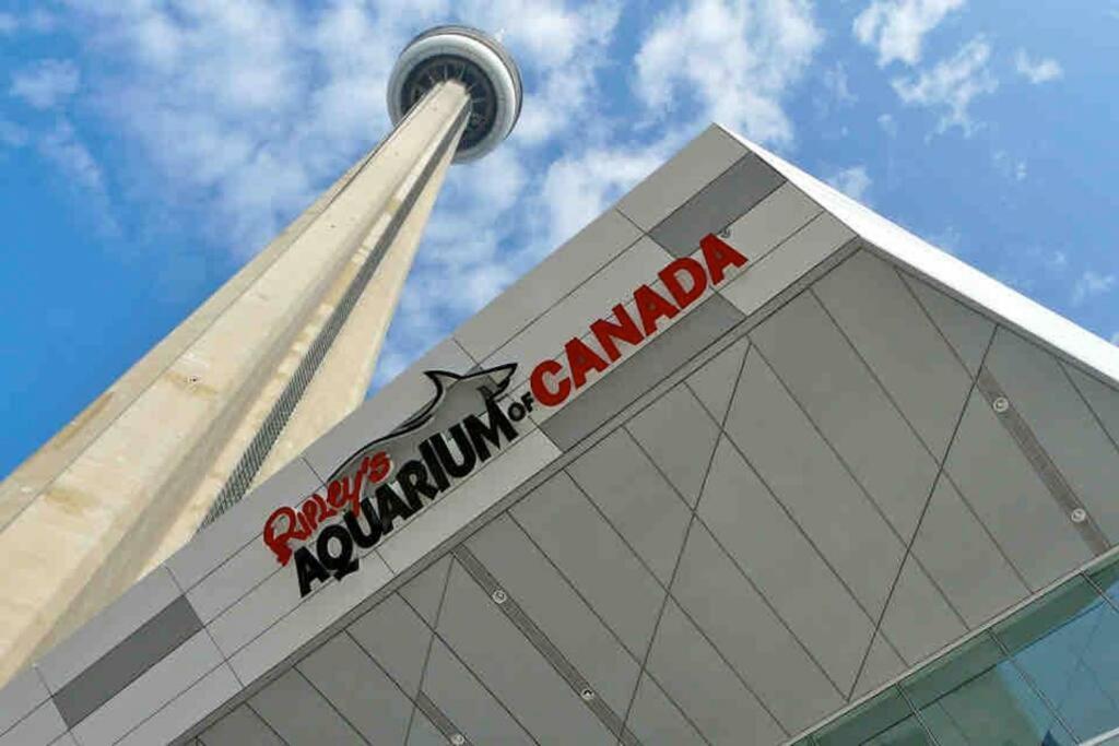 Comfy 1br & Den With Balcony- Close To Cn Tower